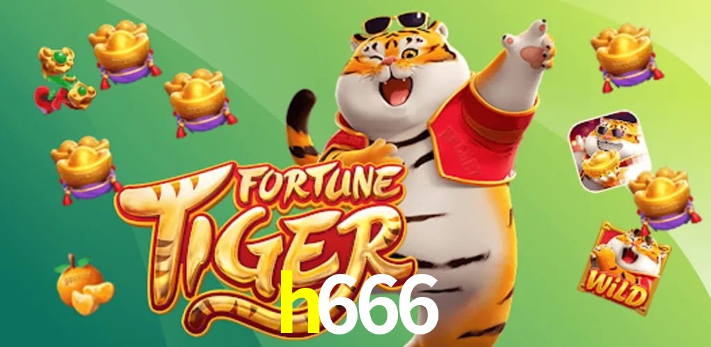 Bonus Features h666